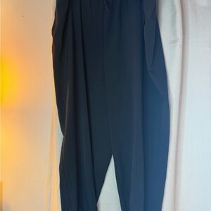 Torrid women’s jogger size 3